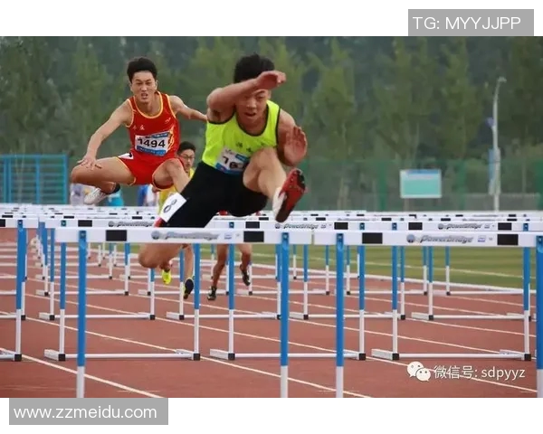 山东体育明星排行榜揭晓谁是最闪耀的运动之星